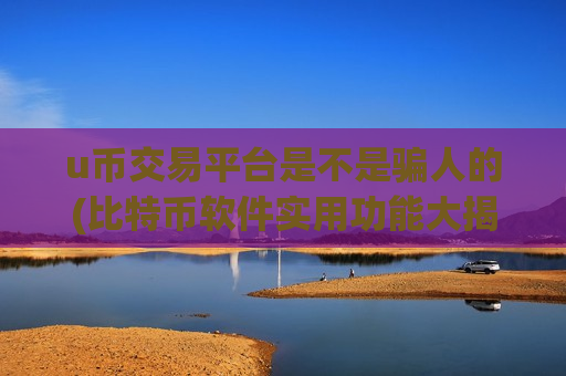 u币交易平台是不是骗人的(比特币软件实用功能大揭秘)