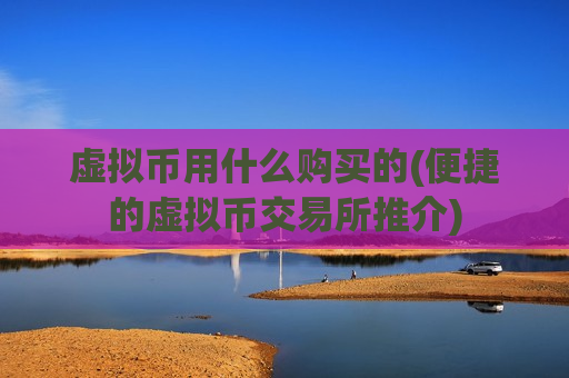 虚拟币用什么购买的(便捷的虚拟币交易所推介)
