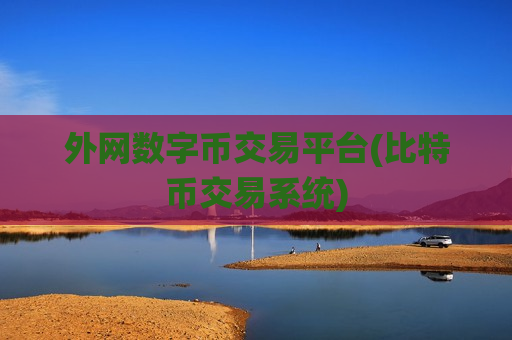 外网数字币交易平台(比特币交易系统)