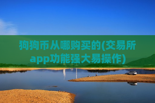 狗狗币从哪购买的(交易所app功能强大易操作)