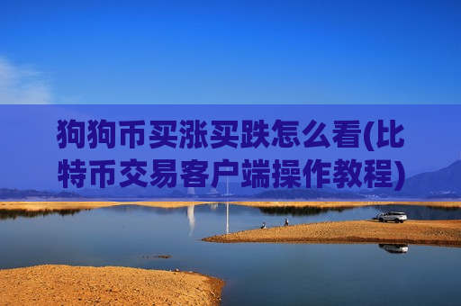 狗狗币买涨买跌怎么看(比特币交易客户端操作教程)