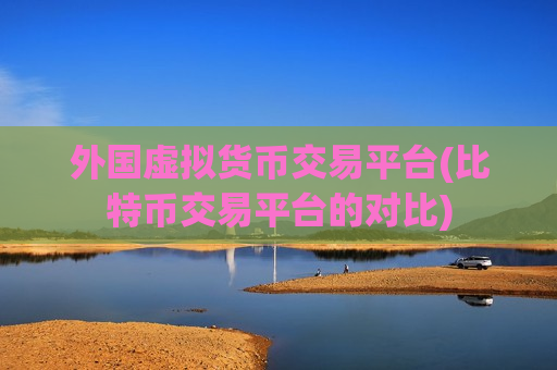 外国虚拟货币交易平台(比特币交易平台的对比)