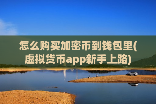 怎么购买加密币到钱包里(虚拟货币app新手上路)
