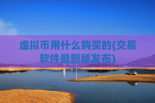 虚拟币用什么购买的(交易软件最新版发布)