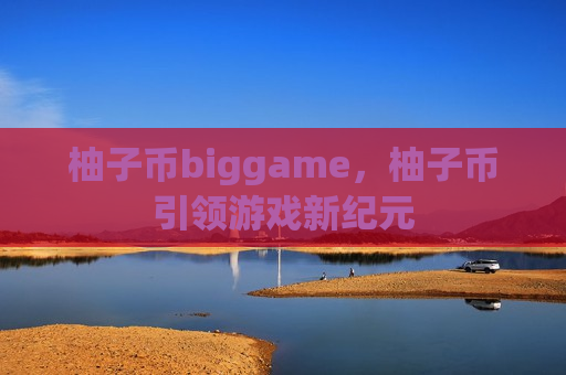 柚子币biggame，柚子币引领游戏新纪元