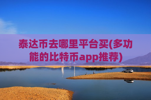 泰达币去哪里平台买(多功能的比特币app推荐)