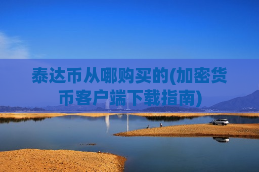 泰达币从哪购买的(加密货币客户端下载指南)-第1张图片-币圈网