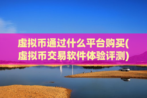 虚拟币通过什么平台购买(虚拟币交易软件体验评测)-第1张图片-币圈网