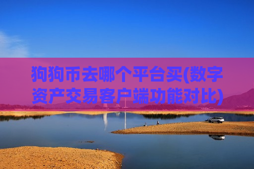 狗狗币去哪个平台买(数字资产交易客户端功能对比)-第1张图片-币圈网 狗狗币去哪个平台买(数字资产交易客户端功能对比)-第1张图片-币圈网
