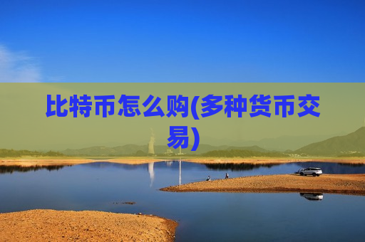 比特币怎么购(多种货币交易)-第1张图片-币圈网