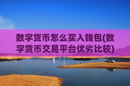 数字货币怎么买入钱包(数字货币交易平台优劣比较)-第1张图片-币圈网