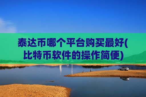 泰达币哪个平台购买最好(比特币软件的操作简便)-第1张图片-币圈网 泰达币哪个平台购买最好(比特币软件的操作简便)-第1张图片-币圈网