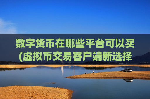 数字货币在哪些平台可以买(虚拟币交易客户端新选择)-第1张图片-币圈网