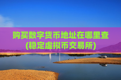 购买数字货币地址在哪里查(稳定虚拟币交易所)-第1张图片-币圈网