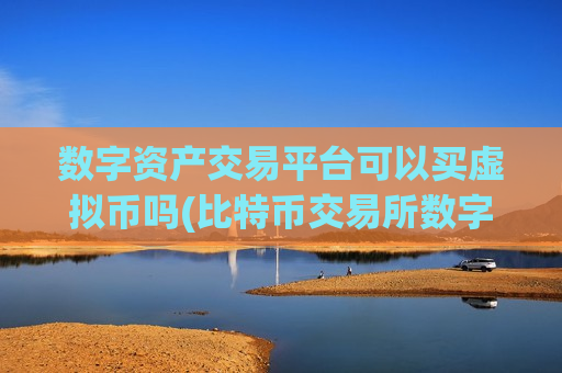 数字资产交易平台可以买虚拟币吗(比特币交易所数字资产)