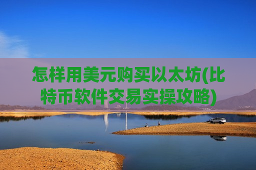 怎样用美元购买以太坊(比特币软件交易实操攻略)-第1张图片-币圈网