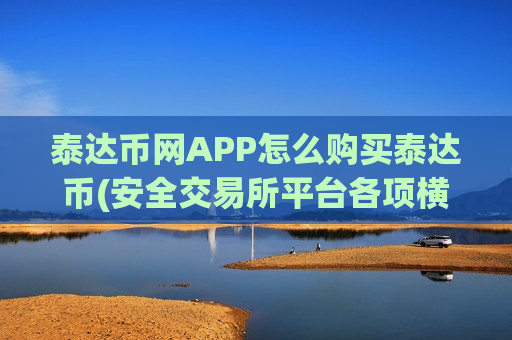 泰达币网APP怎么购买泰达币(安全交易所平台各项横评)
