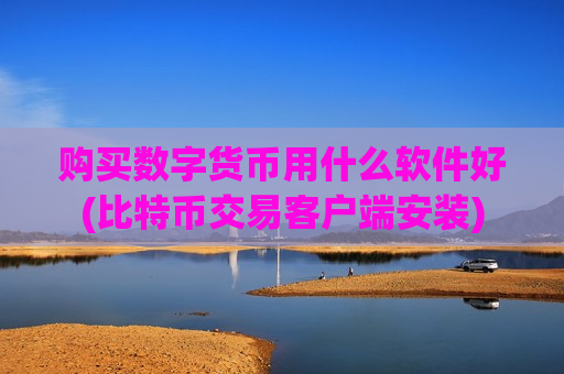 购买数字货币用什么软件好(比特币交易客户端安装)-第1张图片-币圈网 购买数字货币用什么软件好(比特币交易客户端安装)-第1张图片-币圈网