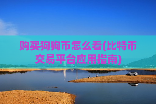 购买狗狗币怎么看(比特币交易平台应用指南)-第1张图片-币圈网