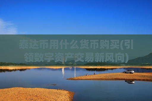 泰达币用什么货币购买(引领数字资产交易新风向)