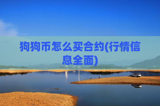 狗狗币怎么买合约(行情信息全面)