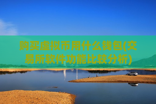 购买虚拟币用什么钱包(交易所软件功能比较分析)-第1张图片-币圈网