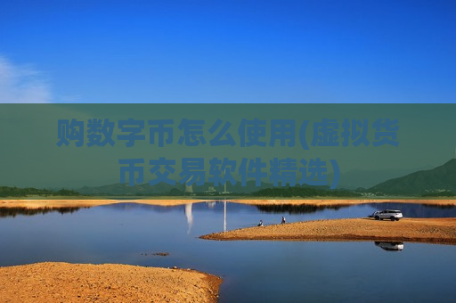 购数字币怎么使用(虚拟货币交易软件精选)-第1张图片-币圈网 购数字币怎么使用(虚拟货币交易软件精选)-第1张图片-币圈网