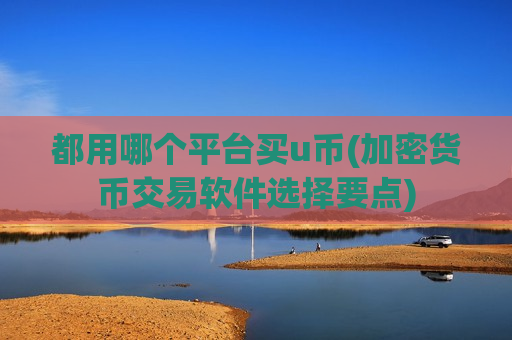 都用哪个平台买u币(加密货币交易软件选择要点)-第1张图片-币圈网