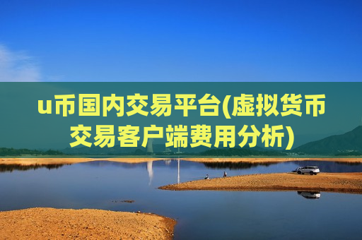 u币国内交易平台(虚拟货币交易客户端费用分析)