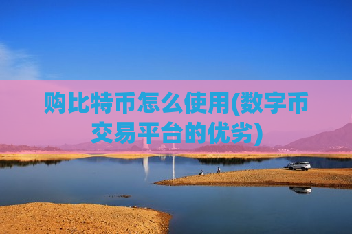 购比特币怎么使用(数字币交易平台的优劣)-第1张图片-币圈网 购比特币怎么使用(数字币交易平台的优劣)-第1张图片-币圈网