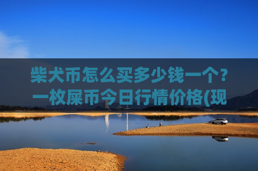柴犬币怎么买多少钱一个?一枚屎币今日行情价格(现价0.00021295元)-第1张图片-币圈网 柴犬币怎么买多少钱一个?一枚屎币今日行情价格(现价0.00021295元)-第1张图片-币圈网