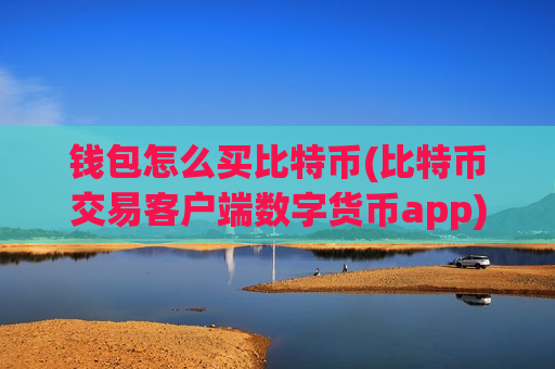 钱包怎么买比特币(比特币交易客户端数字货币app)-第1张图片-币圈网 钱包怎么买比特币(比特币交易客户端数字货币app)-第1张图片-币圈网