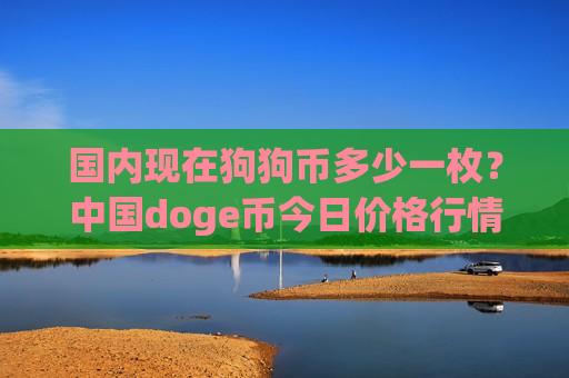 国内现在狗狗币多少一枚？中国doge币今日价格行情(现价3.0383元)-第1张图片-币圈网