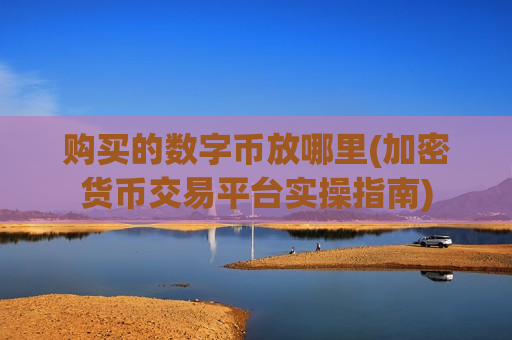 购买的数字币放哪里(加密货币交易平台实操指南)-第1张图片-币圈网 购买的数字币放哪里(加密货币交易平台实操指南)-第1张图片-币圈网