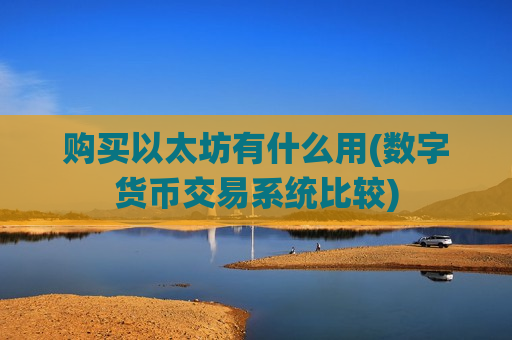 购买以太坊有什么用(数字货币交易系统比较)-第1张图片-币圈网