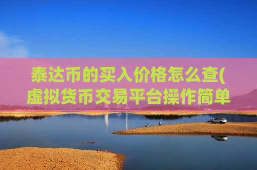 泰达币的买入价格怎么查(虚拟货币交易平台操作简单)