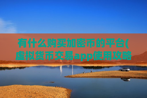 有什么购买加密币的平台(虚拟货币交易app使用攻略)