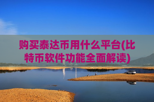 购买泰达币用什么平台(比特币软件功能全面解读)-第1张图片-币圈网
