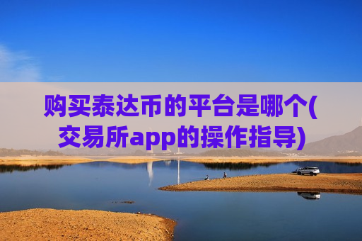 购买泰达币的平台是哪个(交易所app的操作指导)-第1张图片-币圈网