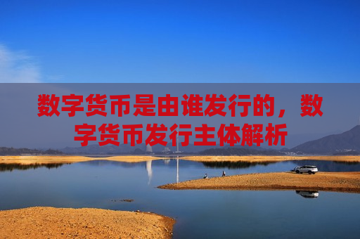 数字货币是由谁发行的,数字货币发行主体解析-第1张图片-币圈网 数字货币是由谁发行的,数字货币发行主体解析-第1张图片-币圈网