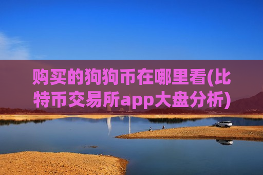 购买的狗狗币在哪里看(比特币交易所app大盘分析)-第1张图片-币圈网 购买的狗狗币在哪里看(比特币交易所app大盘分析)-第1张图片-币圈网