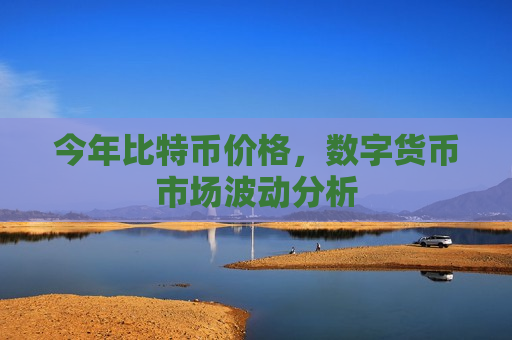 今年比特币价格，数字货币市场波动分析-第1张图片-币圈网
