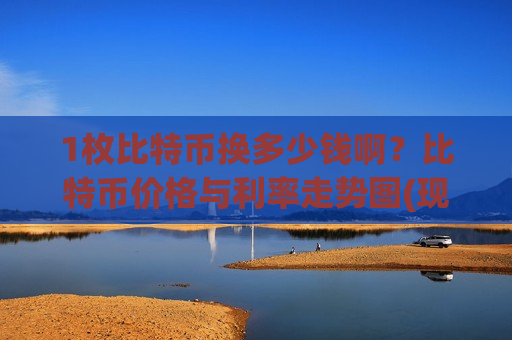 1枚比特币换多少钱啊?比特币价格与利率走势图(现价731397.39元)-第1张图片-币圈网 1枚比特币换多少钱啊?比特币价格与利率走势图(现价731397.39元)-第1张图片-币圈网