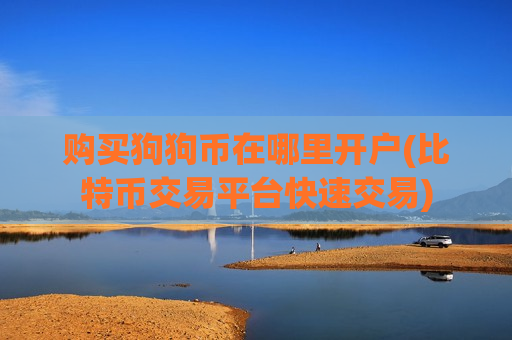 购买狗狗币在哪里开户(比特币交易平台快速交易)-第1张图片-币圈网 购买狗狗币在哪里开户(比特币交易平台快速交易)-第1张图片-币圈网