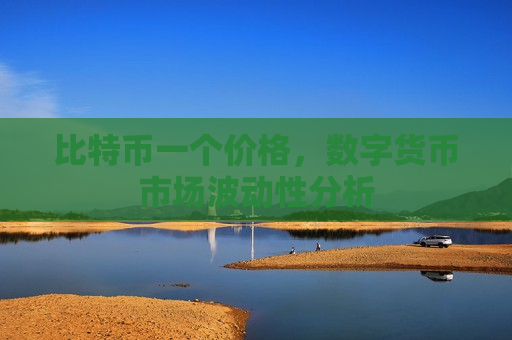 比特币一个价格,数字货币市场波动性分析-第1张图片-币圈网 比特币一个价格,数字货币市场波动性分析-第1张图片-币圈网