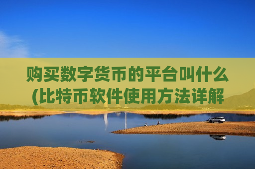 购买数字货币的平台叫什么(比特币软件使用方法详解)-第1张图片-币圈网