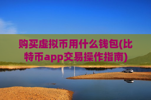 购买虚拟币用什么钱包(比特币app交易操作指南)-第1张图片-币圈网 购买虚拟币用什么钱包(比特币app交易操作指南)-第1张图片-币圈网