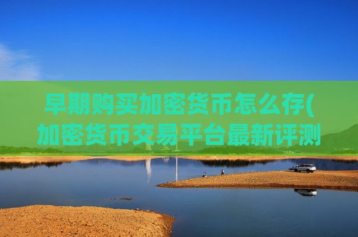 早期购买加密货币怎么存(加密货币交易平台最新评测)