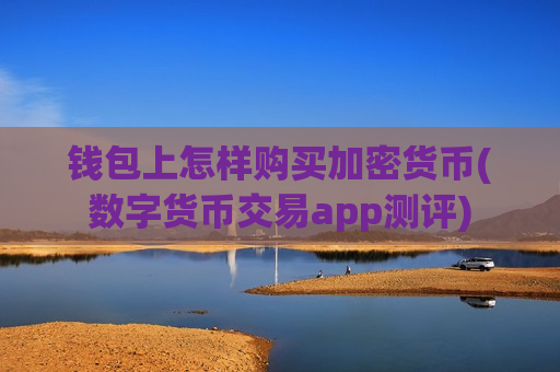 钱包上怎样购买加密货币(数字货币交易app测评)-第1张图片-币圈网 钱包上怎样购买加密货币(数字货币交易app测评)-第1张图片-币圈网