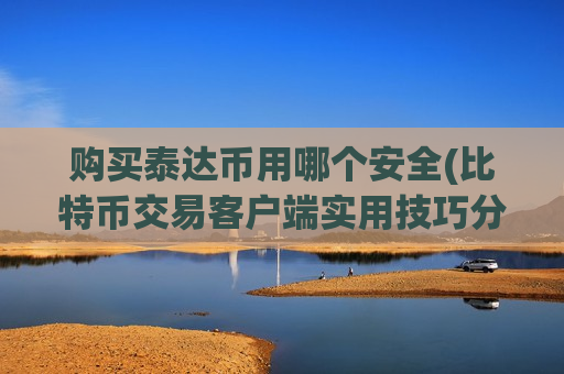 购买泰达币用哪个安全(比特币交易客户端实用技巧分享)-第1张图片-币圈网
